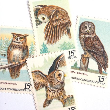 100 Vintage Owl Stamps Unused Pine Tree Postage For Mailing